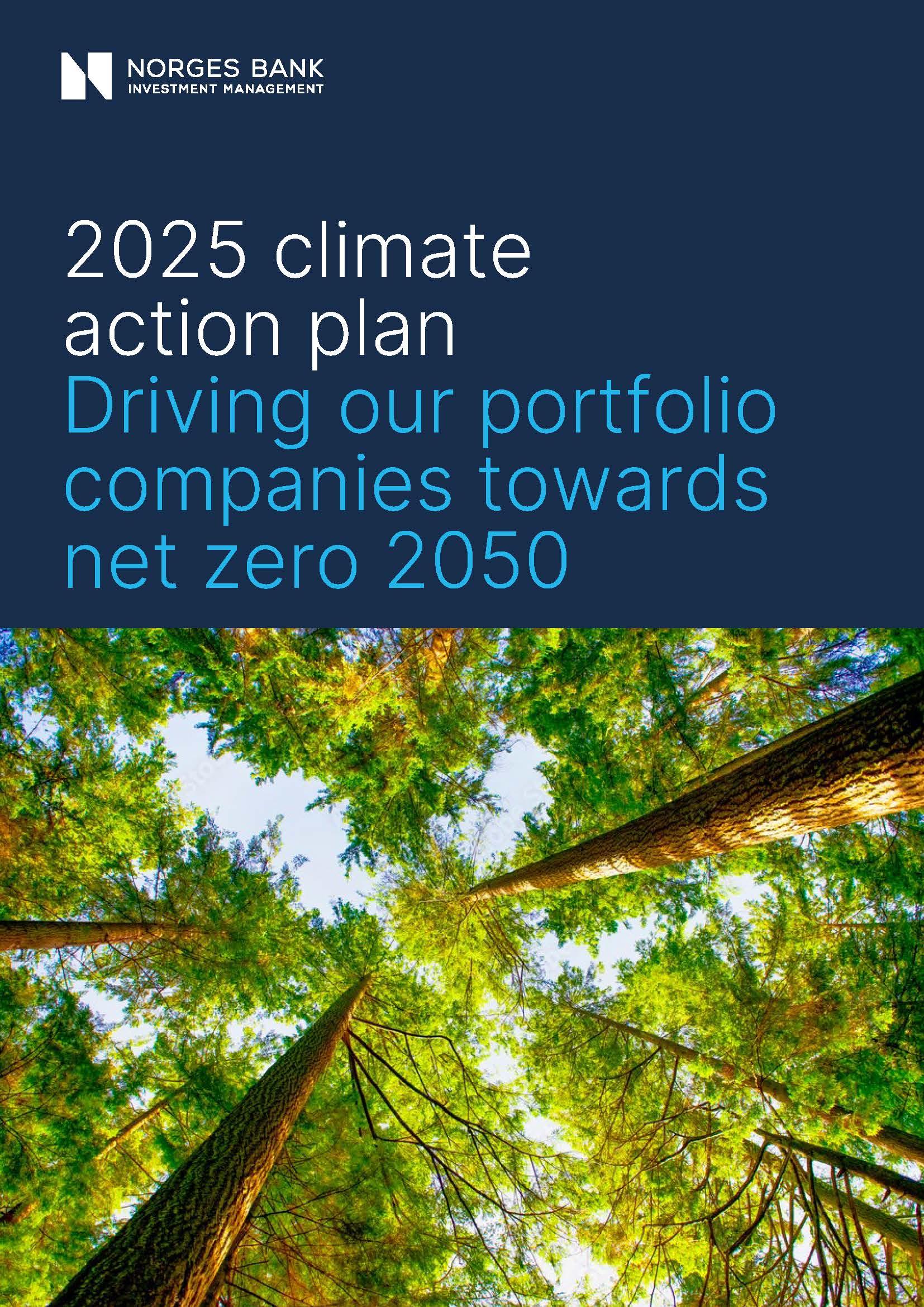 2025 Climate action plan Bank Investment Management