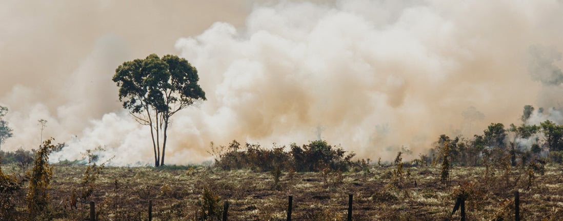 Deforested area with smoke rising from burning vegetation.