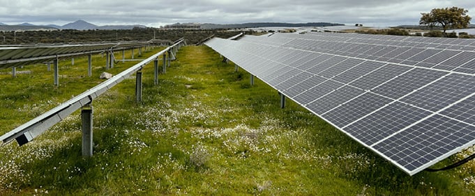 Rows of solar panels in a green landscape under a gray sky.