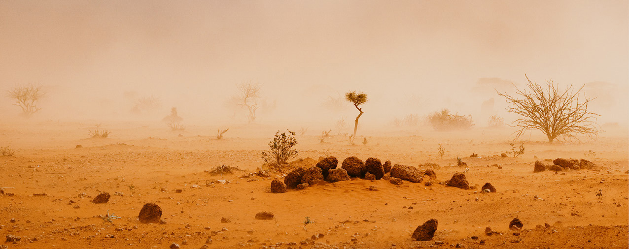 Ørkenlandskap i sandstorm med spredt vegetasjon.