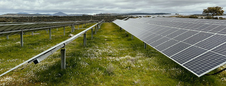 Solcellepaneler på rekke i grønt landskap under grå himmel.